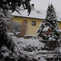 Sníh, sníh, snížek (zima 2010) 