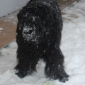 Sníh, sníh, snížek (zima 2010)