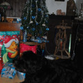 Vánoce 2010