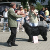 Mezinárodní výstava psů Litoměřice 22.5.2011 