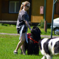 Vodní práce Zahradiště 16.6.2012 - 1.část